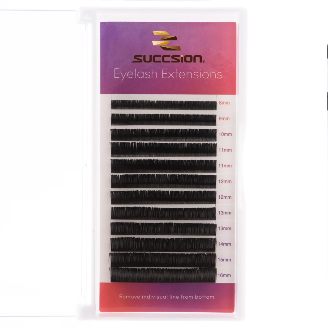 Succsion Hot Selling False Eyelashes Individual Eyelash Extensions