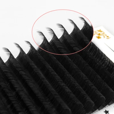 Professional Silk Premade Volume Fans Private Label Lashes Individual Eyelash Extension Supplies