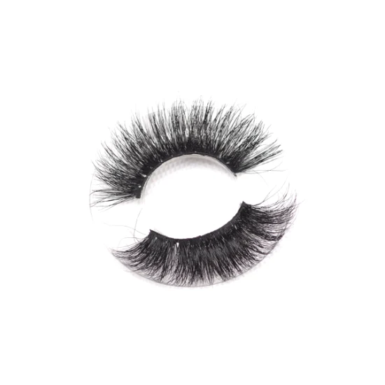 Succsion Hot Selling False Eyelashes Individual Eyelash Extensions